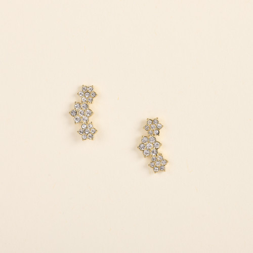 Boucles d'oreilles Stan...