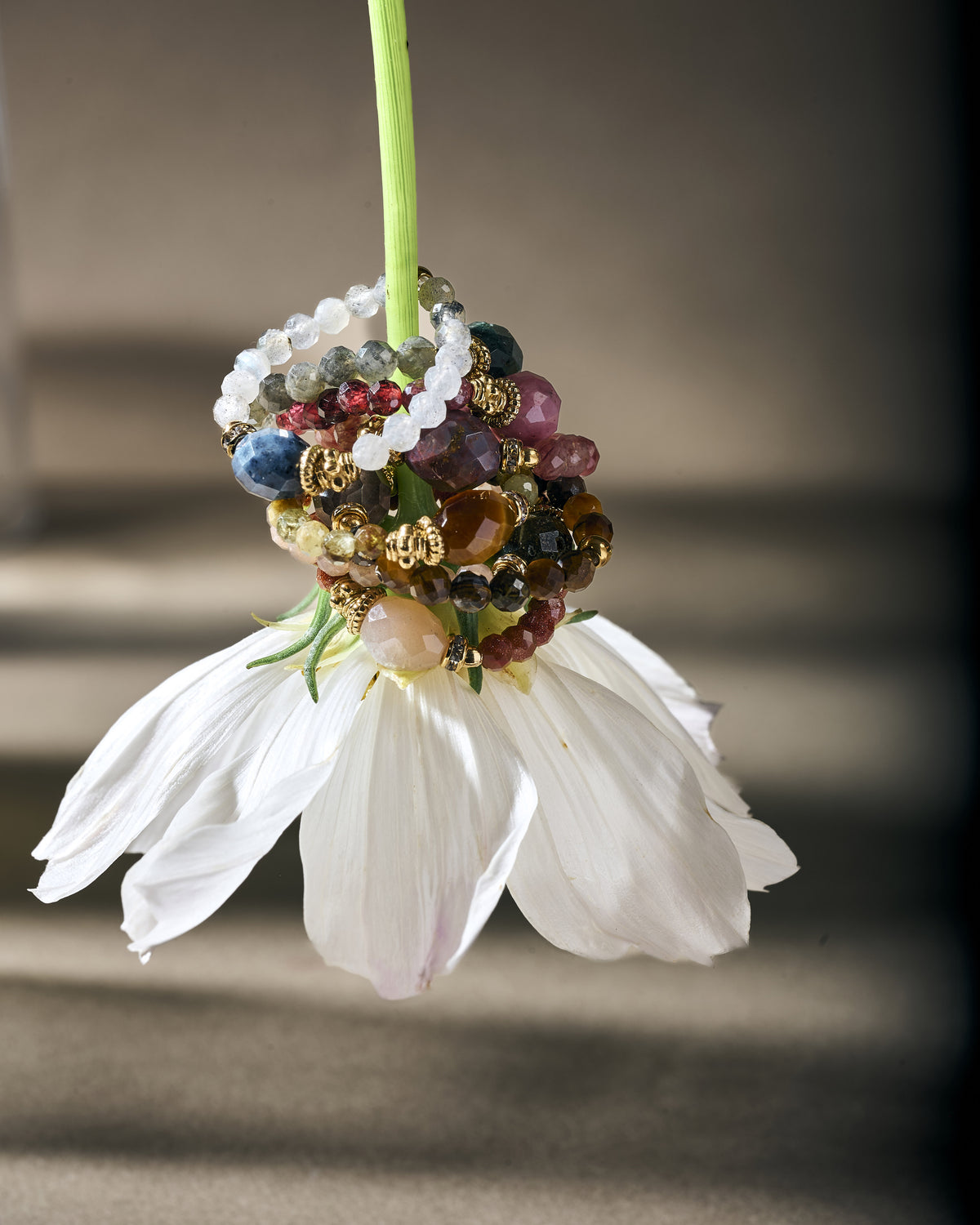 Bague Dari