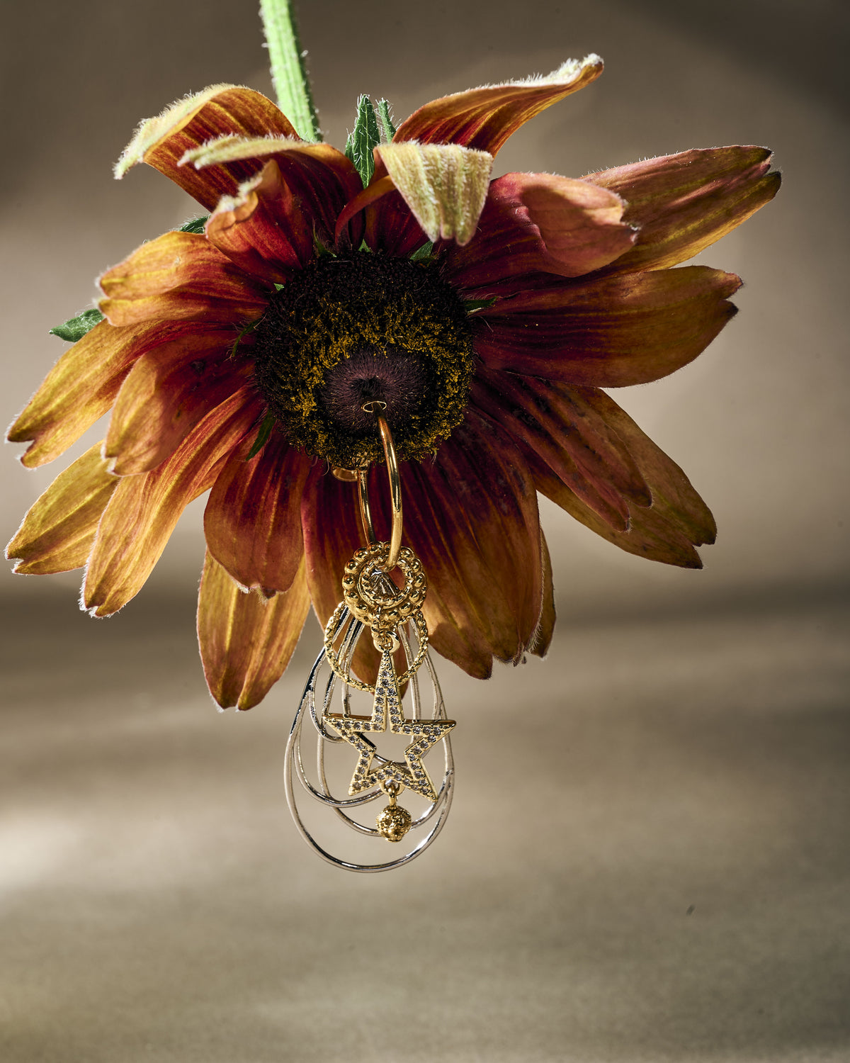 Boucles d'oreilles Pran