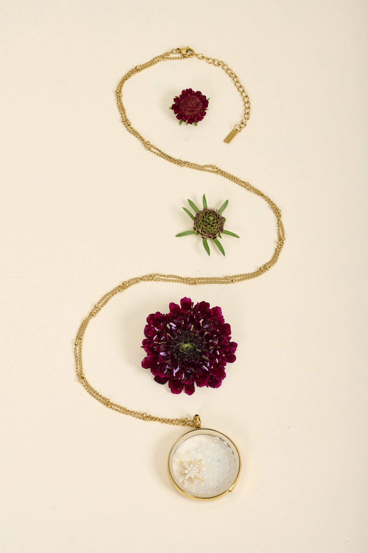 Collier Rolf