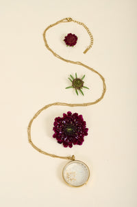 Collier Rolf